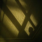 Sin título‎      ‏‏‎