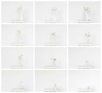 Altares III (Político x12)