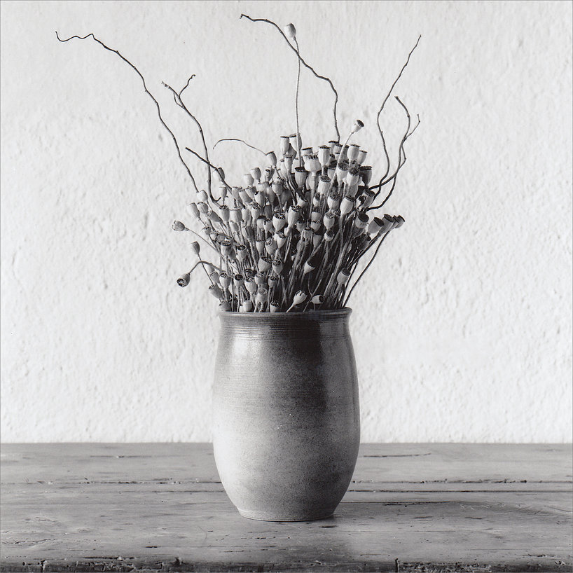 Jarrón y flores secas