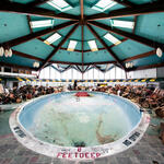 Il mondo che non vedo # 33 Piscina - Woodridge (USA)