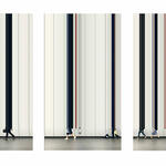 N.Y. IV de la serie Desvanecidos