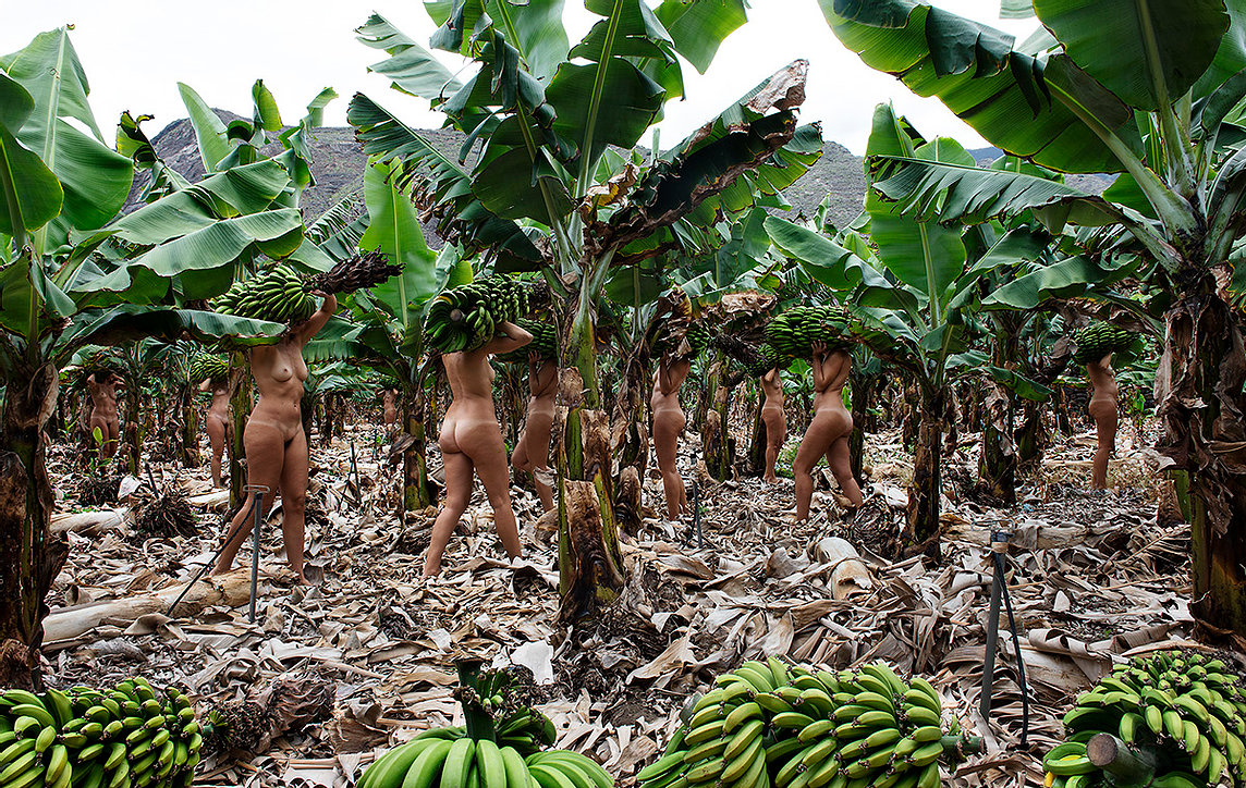 Carregadoras P.S. 02 (Loaders)