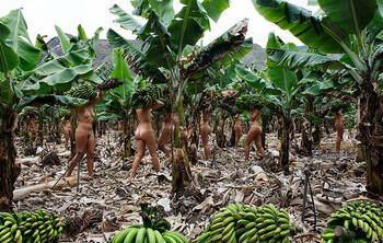 Carregadoras P.S. 02 (Loaders)