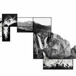 The sky falls as gently as water breathes