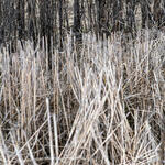 Serie Intemperie Nro 1