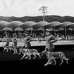 Black Archive / Military Parade