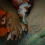 Relatos indefinidos / Relato II / Paisaje doméstico