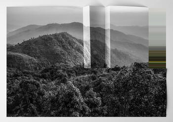 Cod #CCCFCA serie Paisaje sobre paisaje