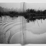 Cod #EAF5F6 serie Paisaje sobre paisaje