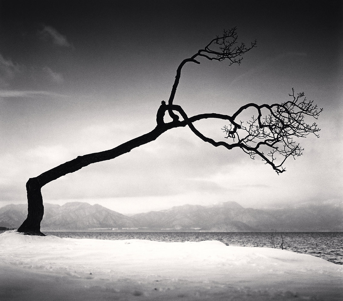 Kussharo Lake Tree, Study 16, Kotan, Hokkaido Japan