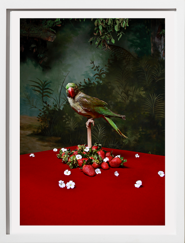 Historias del Paraíso series Bodegón 1