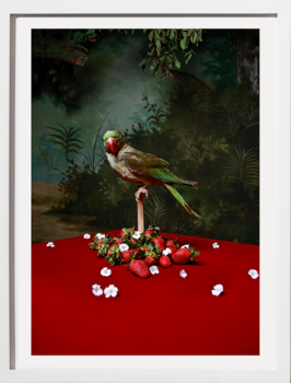 Historias del Paraíso series Bodegón 1