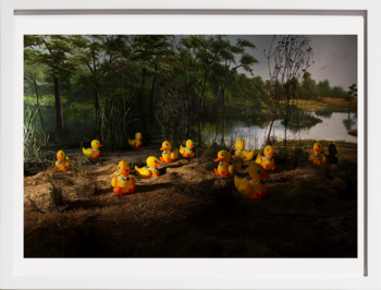 Historias del Paraíso series “Rubber Duckies”
