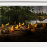 Historias del Paraíso series “Rubber Duckies”