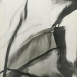 Se viene moviendo la calle