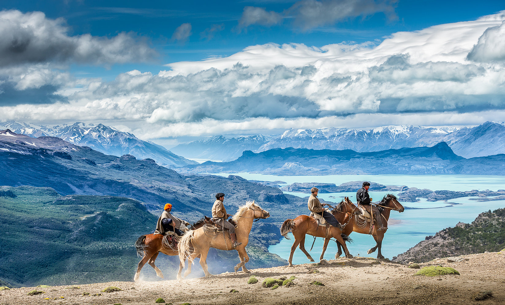 Tras los caballos salvajes