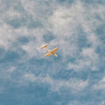 S/T, de la serie Je ne regrette rien