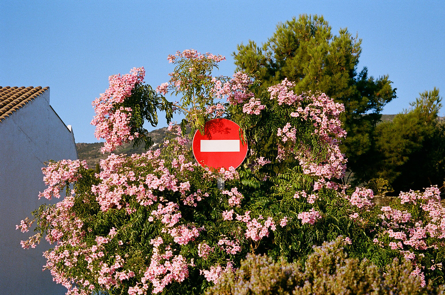 S/T, de la serie Je ne regrette rien