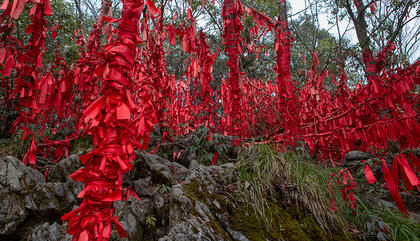 Jasmine Rossi Oratio, 2019. Fotografía toma directa.