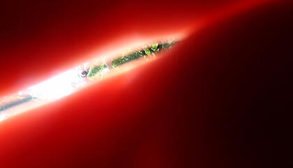 Luciana Lamothe Encd., 2013. Impresión digital. 37 x 50 cm.