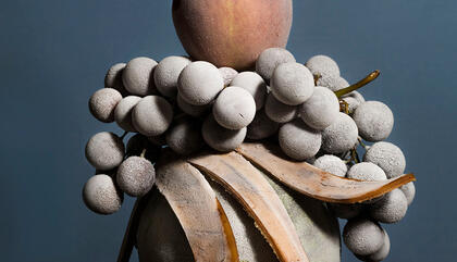 Santiago Carrera Sin título, de la Serie “Naturaleza Suspendida"