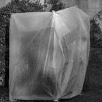 Sin título (árbol II)