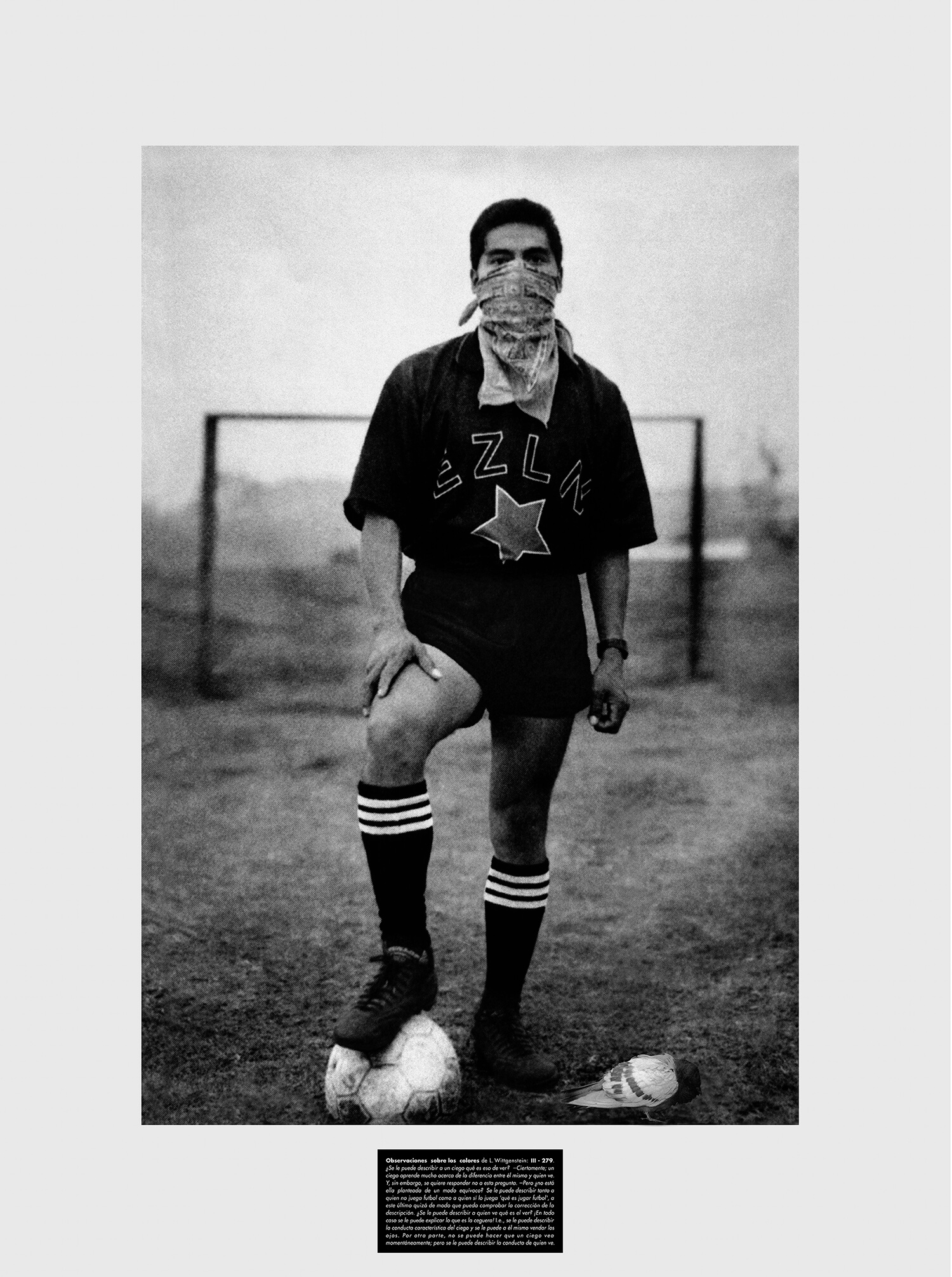 III-279. De la serie “Observaciones sobre el color”