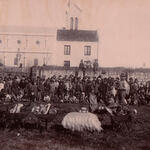 Esperando el pan de cada día