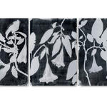 Brugmansia III (triptico) 
