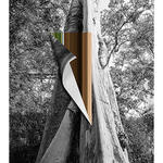 Paisaje sobre Paisaje : #f6be57