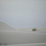 Arena en el Desierto