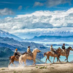 Tras los caballos Salvajes