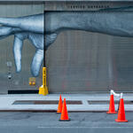 The chosen /El elegido