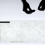 Intento reconstrucción. 2018.