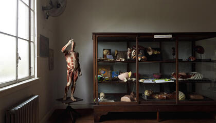 Claudio Larrea Anatomía de la luz, 2017 180 x 125 cm Fotografía digital. Toma directa