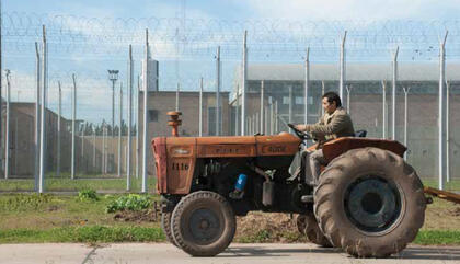 Foto Crazy Sin título, 2016 fotografía digital color