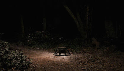 Juan Sorrentino Las cenizas de un árbol (Sonido y Land Art). Altavoz, 47 Hz, silencio, cenizas de un árbol.