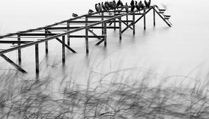 Alejandro Gulminelli Laguna. 2017. Fotografia toma directa. 80 x 80 cm.