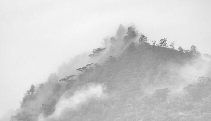 Fernando Cano Planet Avia 2. 2017. Fotográfia digital. 40 x 60 cm.