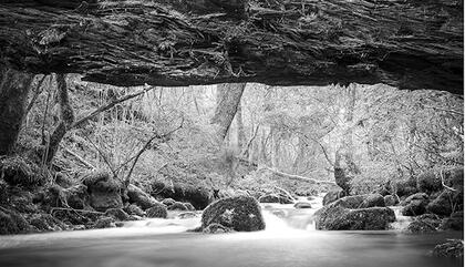 Diego Ortiz Mugica Arroyo Giovoco. 2017. Impresión digital Lambda. 160 x 120 cm.