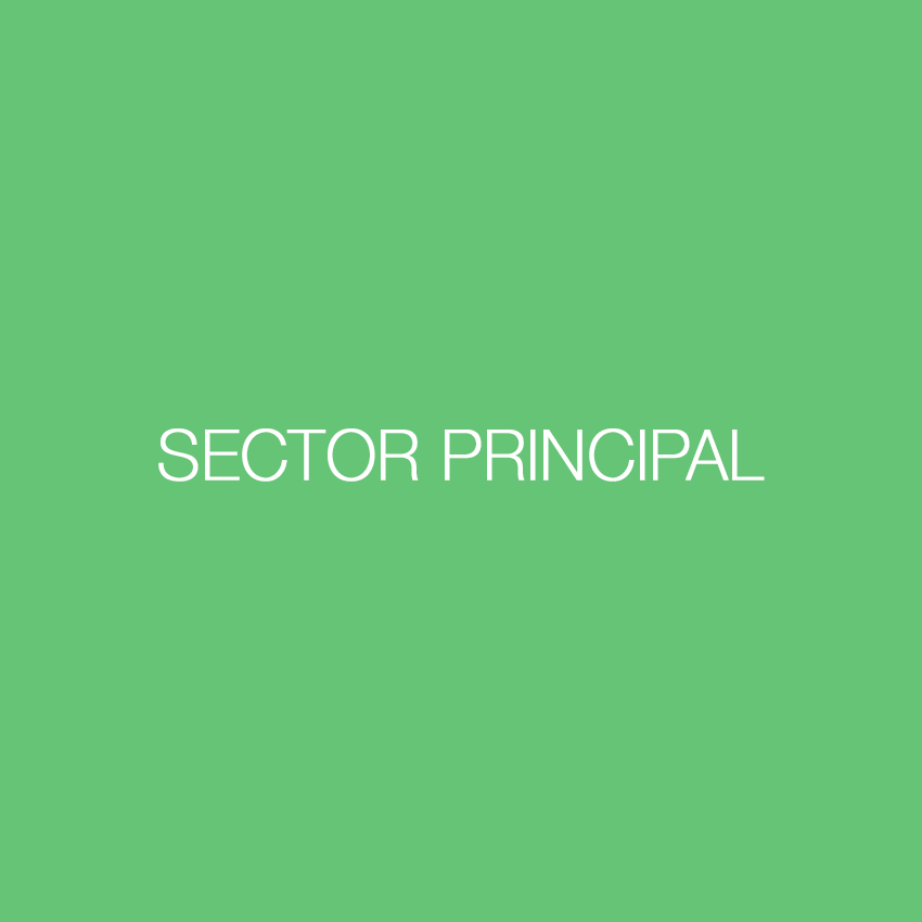 Sección Principal