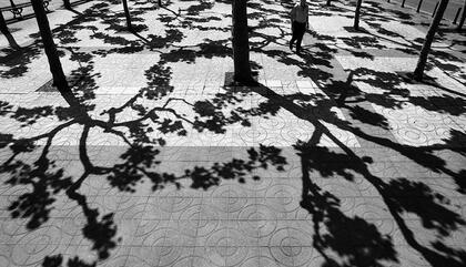 Andrés Wertheim Portugalete, 2009. Toma analógica. Gelatina de plata sobre papel fibra tif.