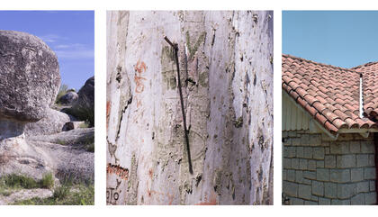 Agustina Triquell Pliegues, 2015-16 Tres fotografías de 20 x 25 cm Impresión gliceé