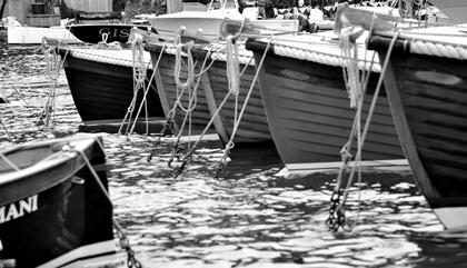 Ronaldo Calixto Aguas de Portofino, 2015 80 x 130 cm. Tinta mineral sobre fibra de algodón