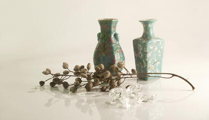 Gloria Matarazzo En levedad suspendida, 2016 40 x 60 cm. Toma digital en estudio Impresión Lambda bajo acrílico 3mm.