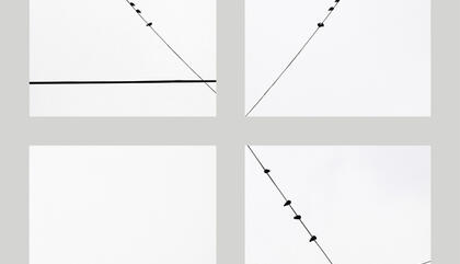 Aldo Sessa Testigos Urbanos, 2014 Toma digital directa.