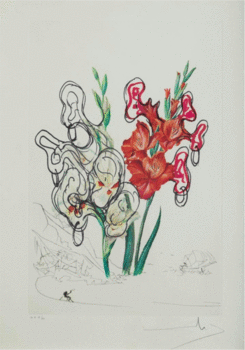 Serie flores surrealistas