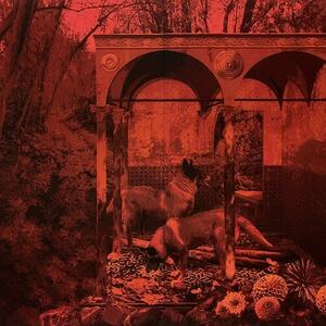 Galería Daniel Cuevas