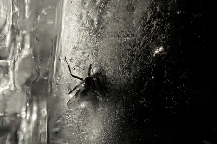 Maya Watanabe en una muestra colectiva en el complejo del Hospedaletto en Venecia