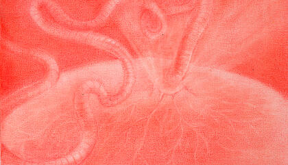 Zoé Guillén: Un universo de formas orgánicas y materias en transformación en La Rebelde